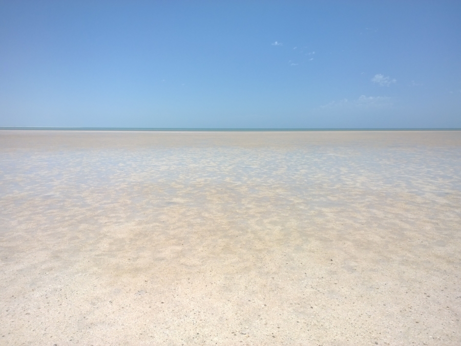 2015 02 07 12 48 28 proshot